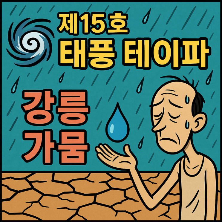 제15호 태풍 테이파 영향, <b>강릉 가뭄 해갈</b>엔 턱없이 부족한 비