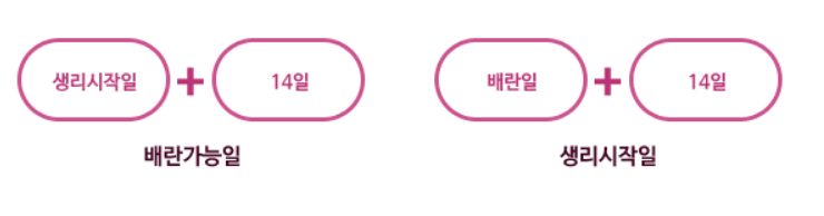  생리 늦어질때 생리주기 계산 배란일 계산기