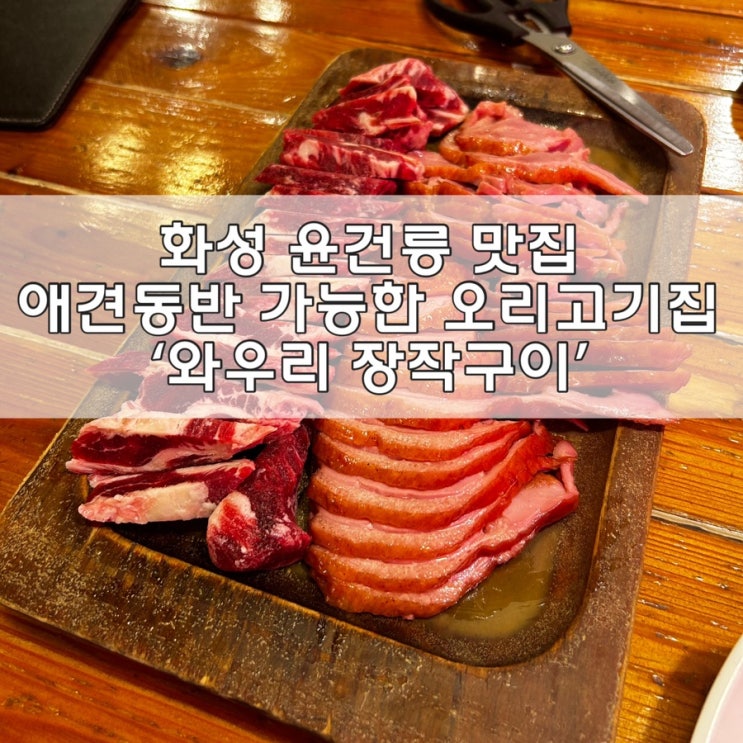  화성 융건릉맛집 '와우리장작구이' | 애견동반가능한 오리고기 맛집