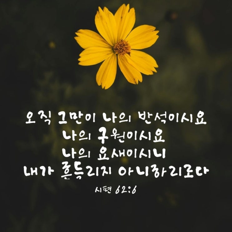  시편 62편 6절/반석 위에 세운 삶