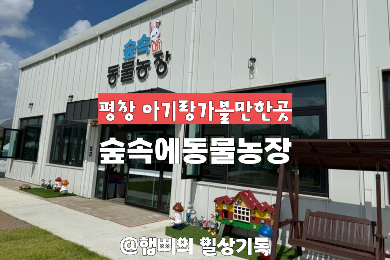 평창 아기랑가볼만한곳 숲속에동물농장 실내동물원 추천