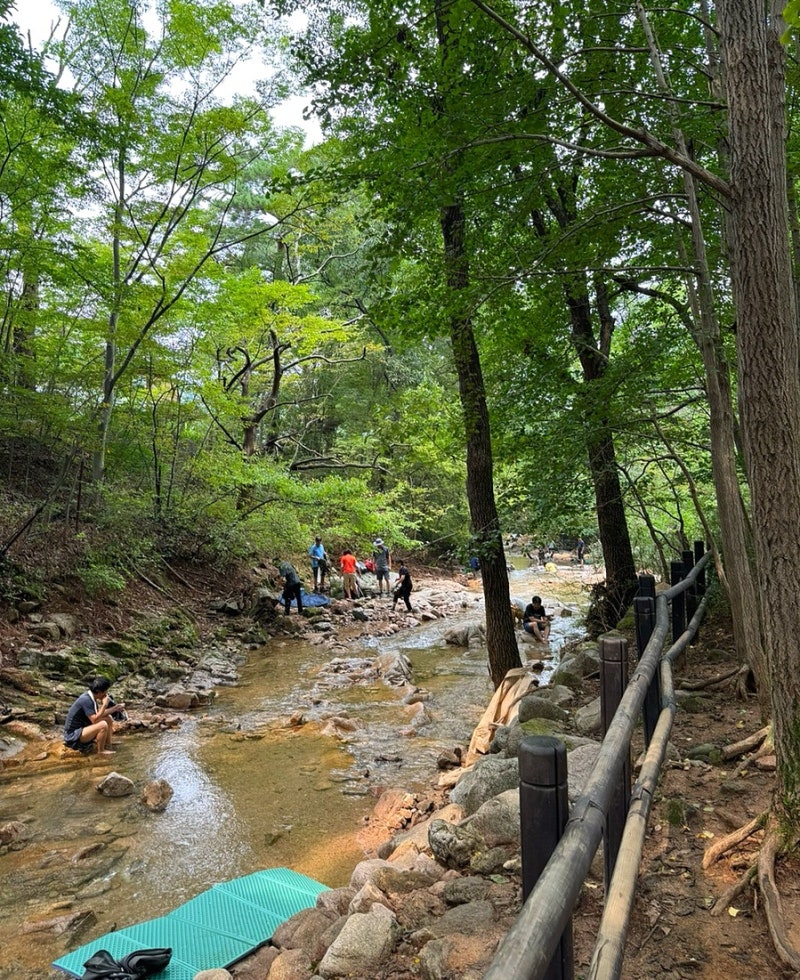 서울 은평구 가볼만한곳 진관사 계곡 북한산 둘레길 진관사 주차장 요금
