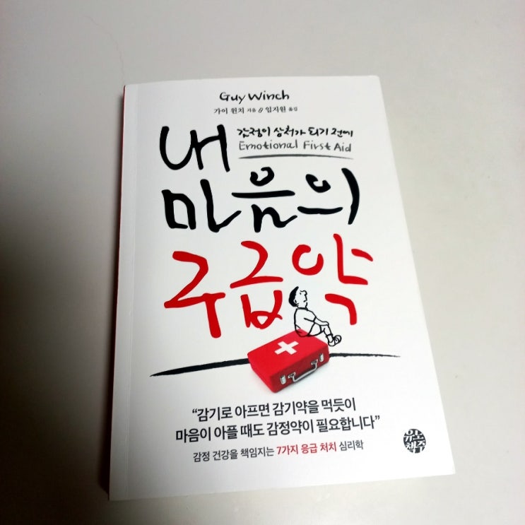 감정이 상처가 되지 않게 내 마음의 구급약 가이 윈치 지음
