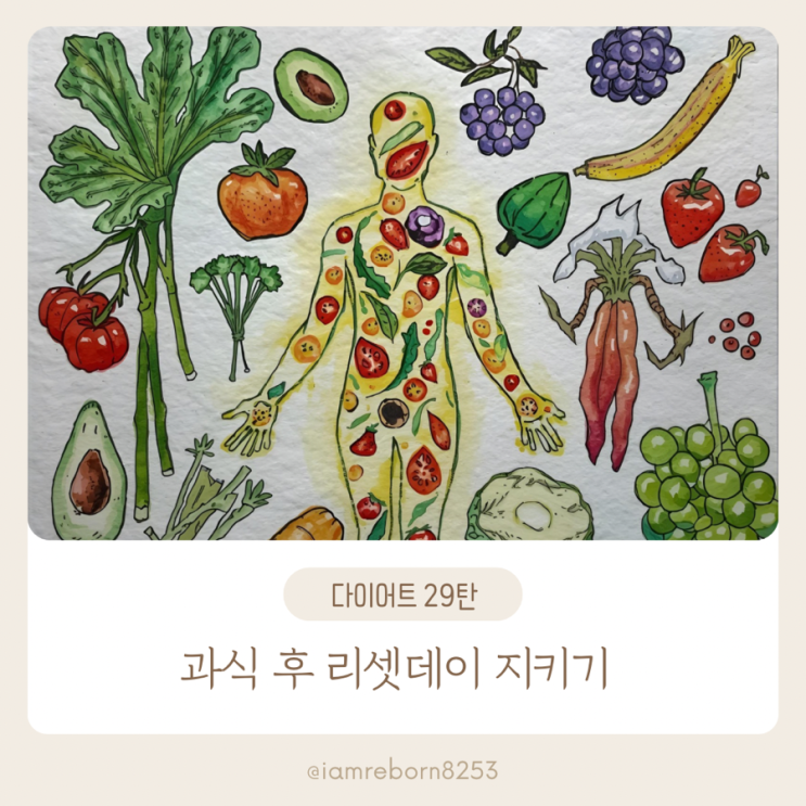  [다이어트 29탄] 과식 후 리셋데이를 지키자