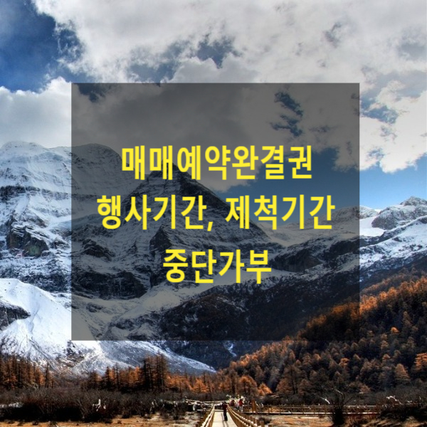  매매예약완결권 행사기간, 제척기간 중단가부