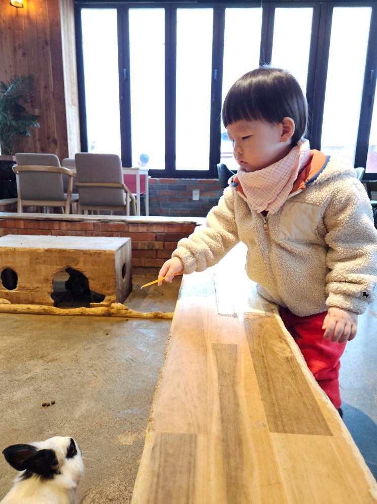   28개월 아기, “토끼양 빨리와라~” 귀여운 하루 