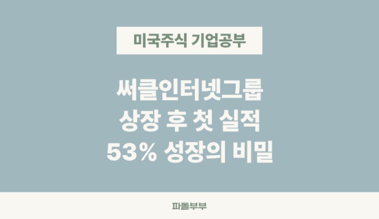  미국주식 서클 써클 인터넷그룹 주가 기업분석 기본 정보 매출 실적 투자 전망