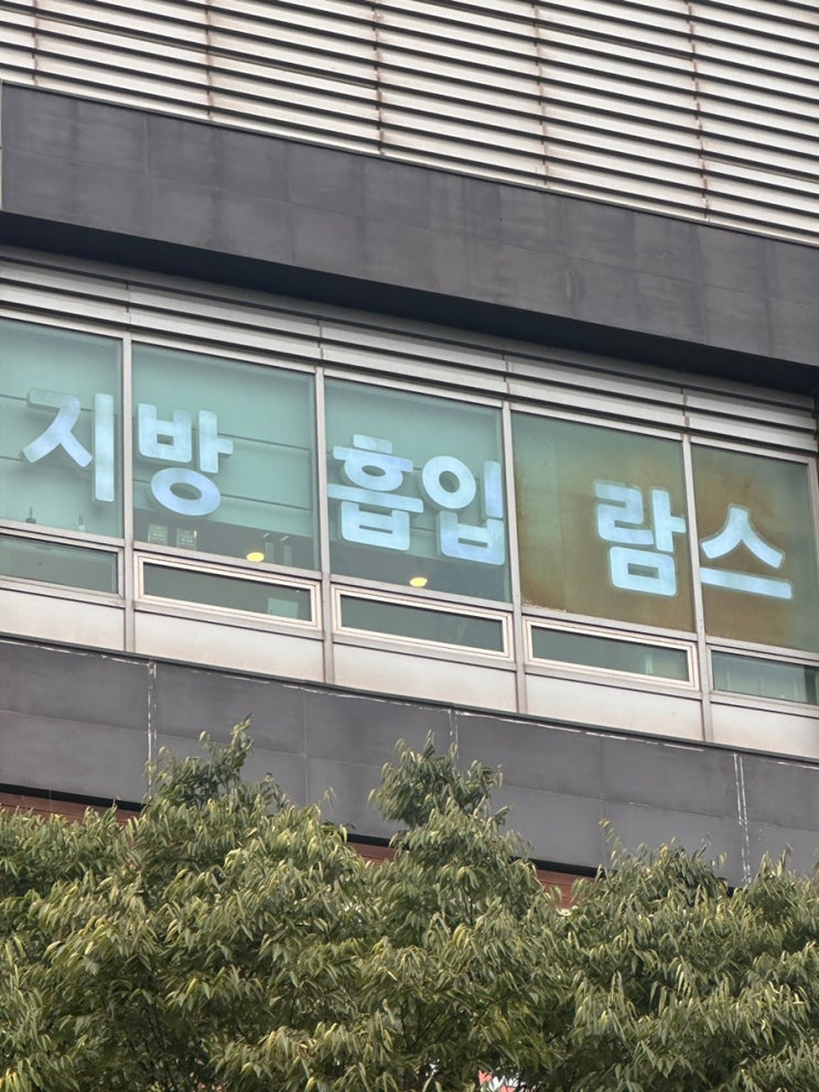  팔지흡 후 나의 일상 변화 기록!