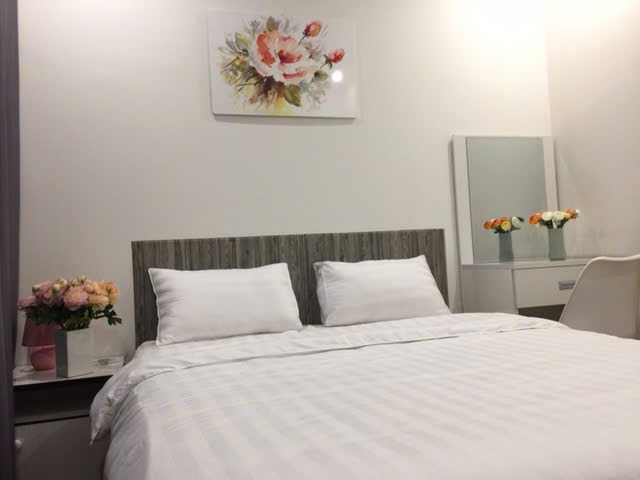  하노이 스카이레이크 S2 2룸 풀옵션 2300만동 좋은 아파트 임대 알려드립니다 ( VINHOMES SKYLAKE )