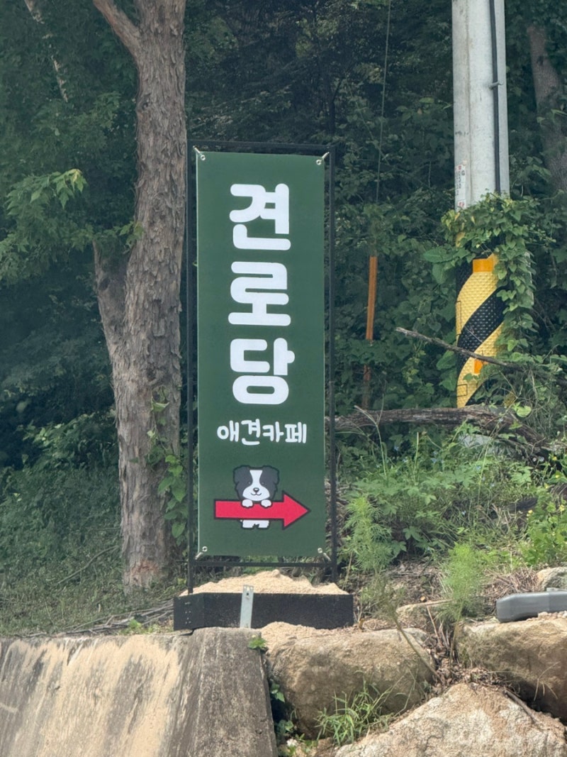 사진 2