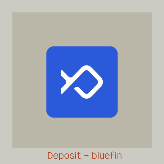  bluefin(블루핀) 거래소 USDC 입금하는 방법