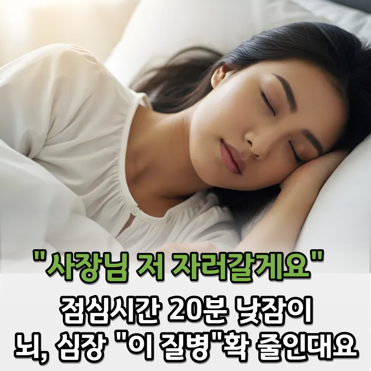  점심 이후 20분 낮잠, '이것' 위험 48% 줄인다는 연구