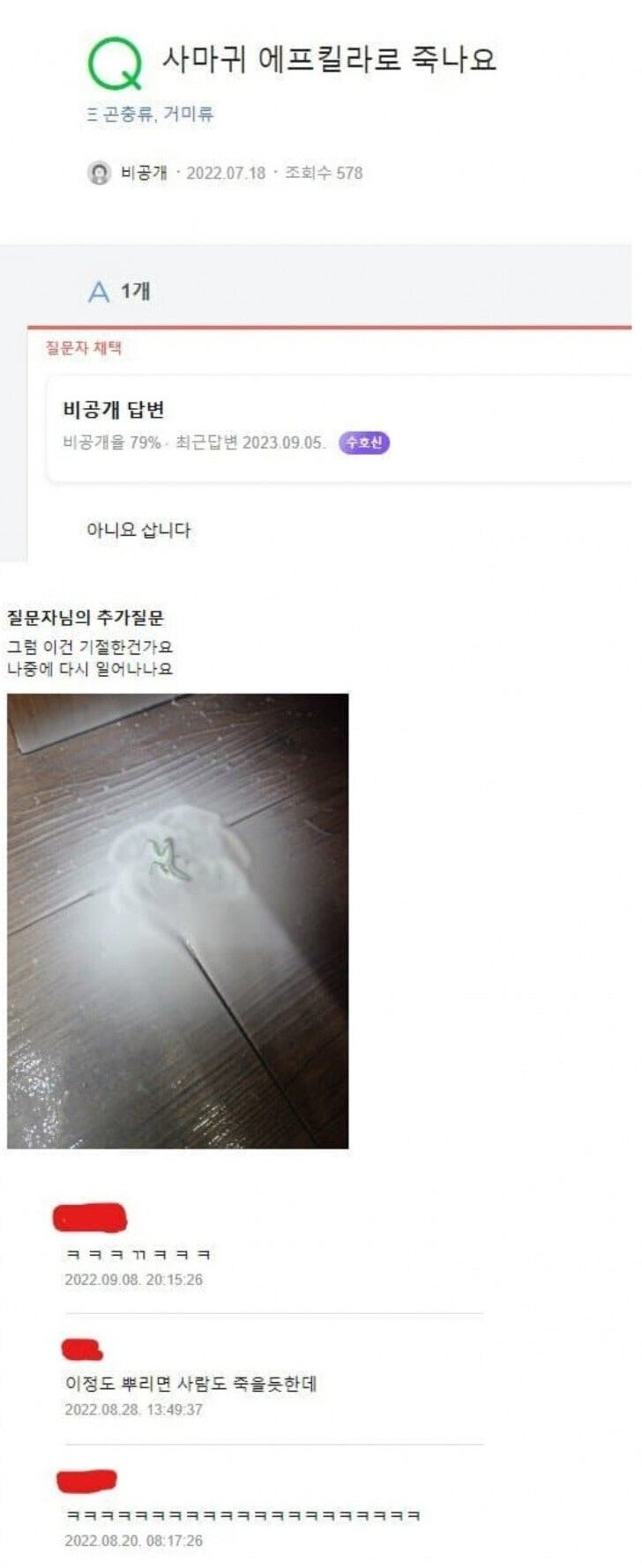 사마귀가 에프킬라로 죽나요