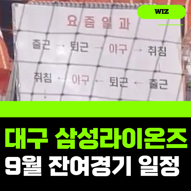 9월 대구 야구 일정, 삼성라이온즈 잔여경기 예매 방법, 이벤트 꿀팁