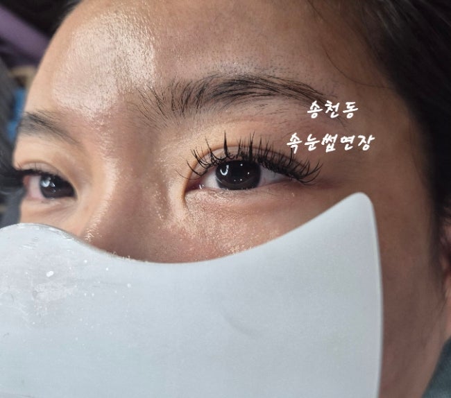  송천동 뷰티잉크 ,초보 고객이 붙히기 전 알아야 할 속눈썹연장
