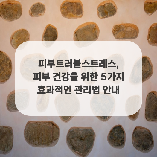  피부트러블스트레스, 피부 건강을 위한 5가지 효과적인 관리법 안내