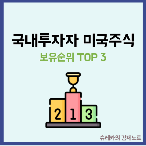  국내 투자자 미국 주식 보유 순위 TOP3