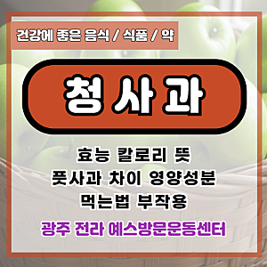 청사과 효능 칼로리 뜻 풋사과 차이 영양성분 먹는법 부작용