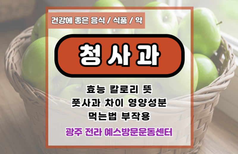 청사과 효능 칼로리 뜻 풋사과 차이 영양성분 먹는법 부작용