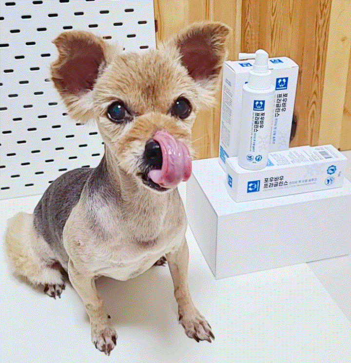  강아지 입냄새제거 치석예방 댕댕이 양치질 쉬운 뿌리는 치약 추천