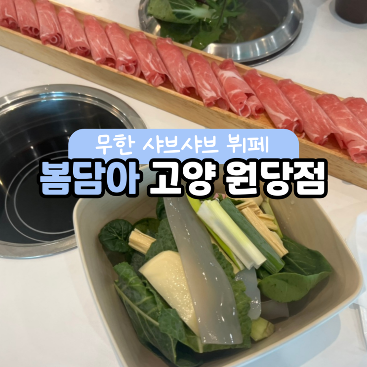  서울 샤브샤브 뷔페 봄담아 다녀왔어요!샤브올데이랑 비교해보니