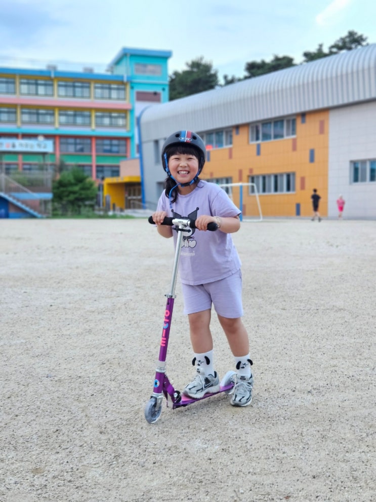  초등학생 두발킥보드 입문용으로 마이크로 스프라이트 선택 기준