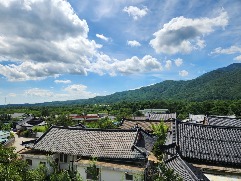 사진 2