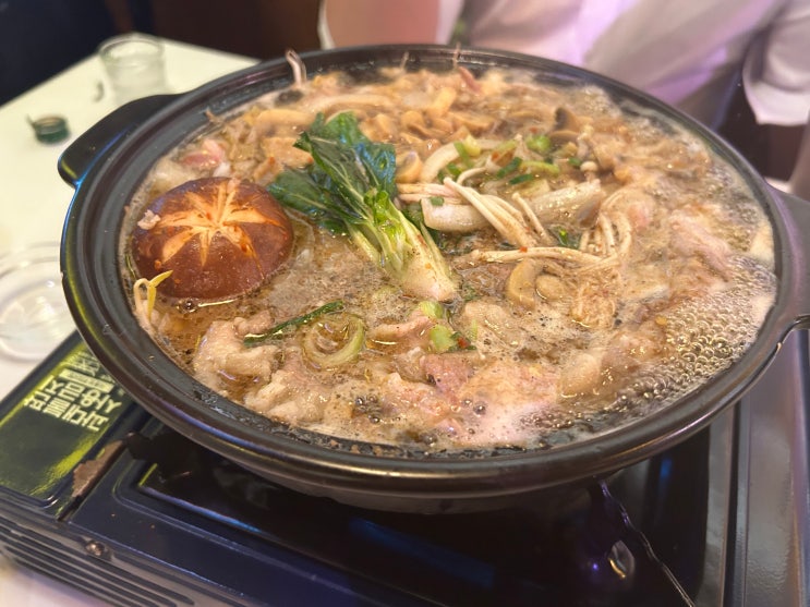  [회기역] 시립대생과 경희대생의 인기 술집 추천 <오사카고양이 회기점>(소고기 스키야키 나베)