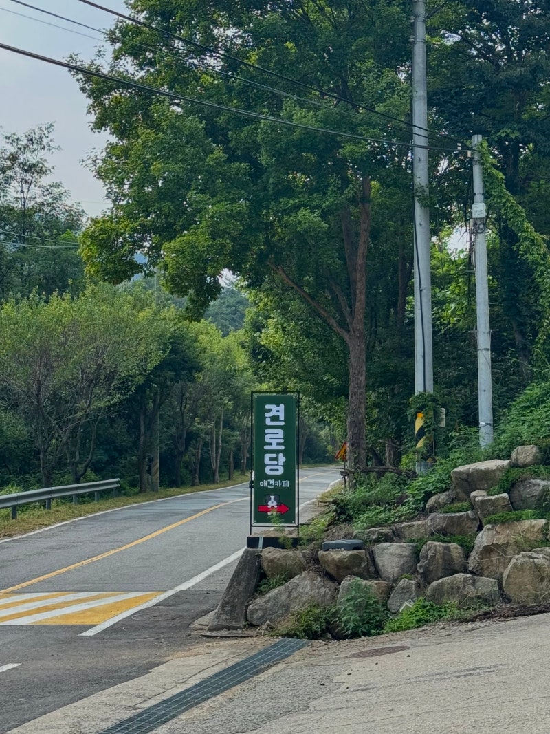사진 5