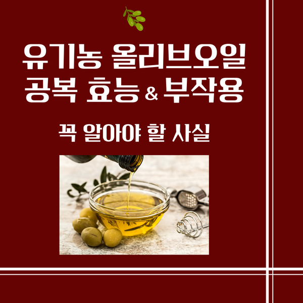  유기농 올리브오일 효능 공복 부작용 꼭 알아야 할 사실