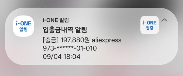  알리 원화결제 vs 달러결제