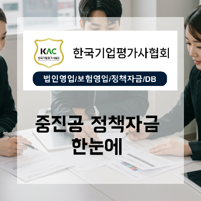  한국기업평가사협회가 제안하는 부산 중진공정책자금 책임진단 가이드