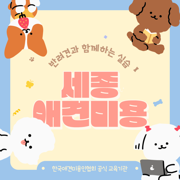  세종애견미용학원 반려견실습 장점 3가지