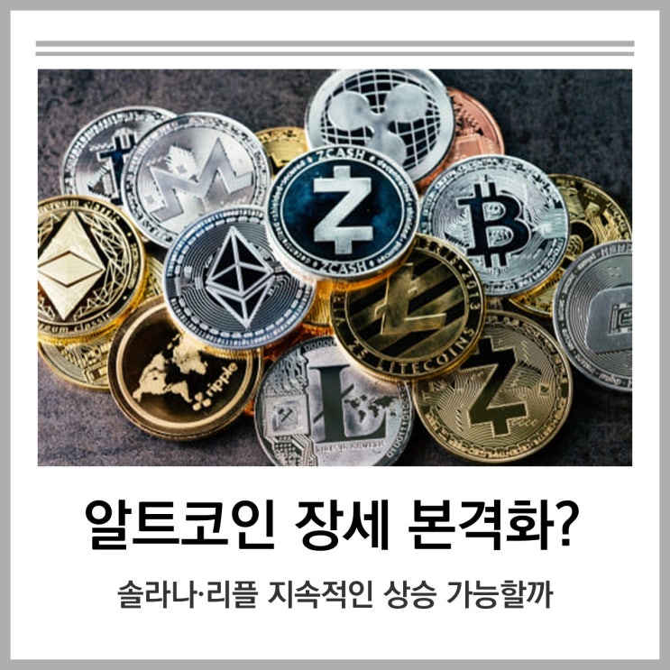 알트코인 <b>강세</b> 본격화? <b>솔라나</b>·XRP에 쏠리는 시선