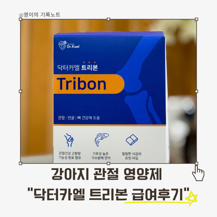  닥터카엘 트리본과 보낸 15일, 우리 강아지 관절영양제 급여 기록