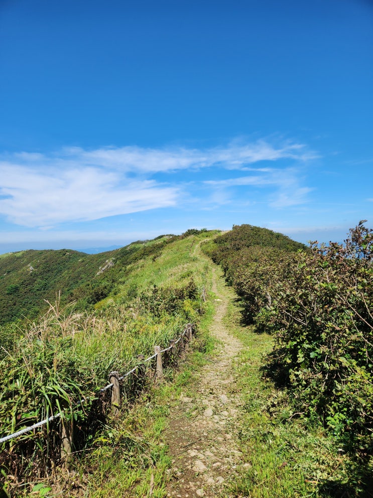  충남 보령 홍성 오서산 - 자연휴양림 월정사 코스