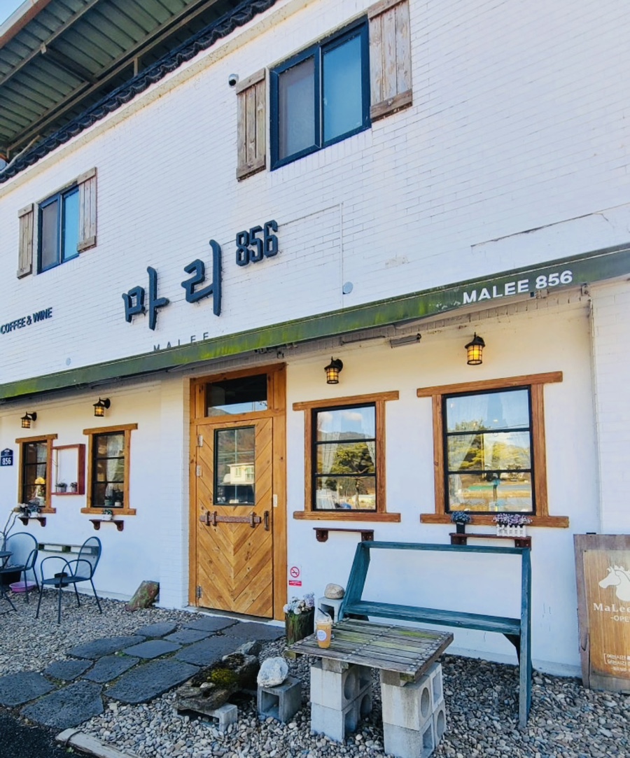 마리856 사진 2