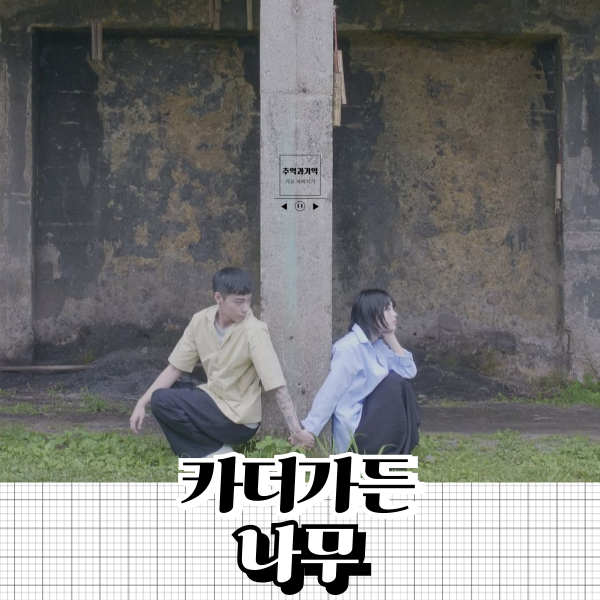 카더가든 나무 가사 해석 그대 춤을 추는 나무 같아요 잔잔한 사랑 노래 추천