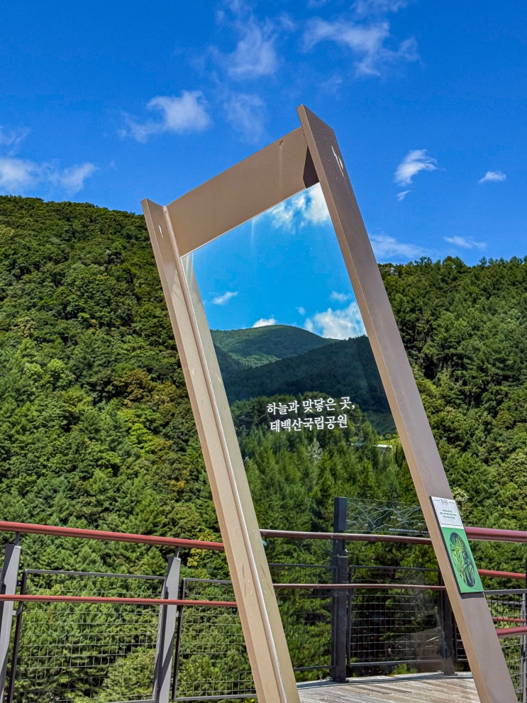 태백 여행 볼만한곳,태백산하늘전망대(당골 탐방지원센터 주차장)