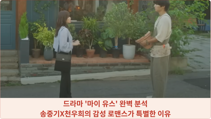  드라마 '마이 유스' 완벽 분석: 송중기X천우희의 감성 로맨스가 특별한 이유