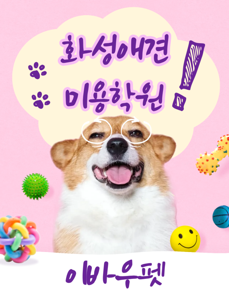  화성애견미용학원, 현장 중심 교육으로 주목받는 이바우펫