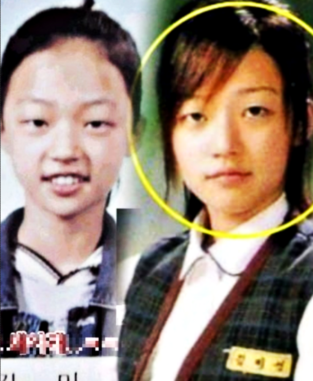 송하윤 강제전학 학폭 프로필 소속사 논란