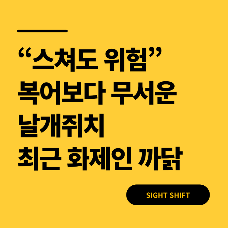  “스쳐도 위험” 복어보다 독한 날개쥐치, 최근 화제인 까닭