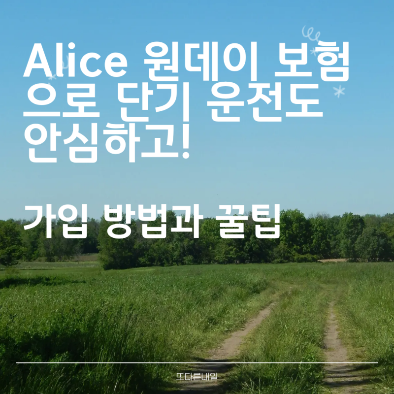 Alice 원데이 보험으로 단기 운전도 안심하고! 가입 방법과 꿀팁
