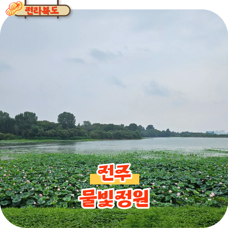  전주 물빛정원 백석저수지 뷰 좋은 애견동반 카페