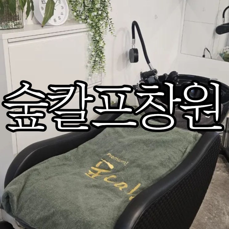  창원두피관리 헤드스파 '숲칼프 제이제이뷰티아카데미 창원점'