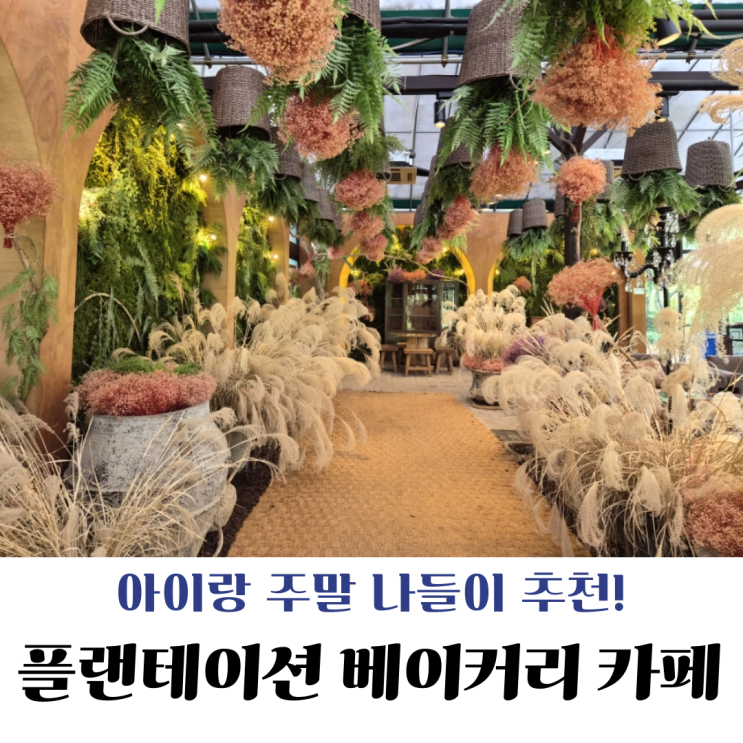  [고양] 넓은 잔디밭과 숲 놀이터가 있는 베이커리 카페, 고양 플랜테이션