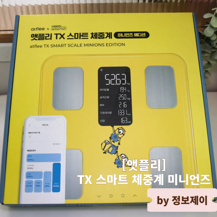  다이어트 건강관리를 위한 애플리TX 스마트 미니언즈체중계 사용 후기