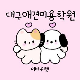  대구애견미용 이바우펫에서 전문가 되는 법