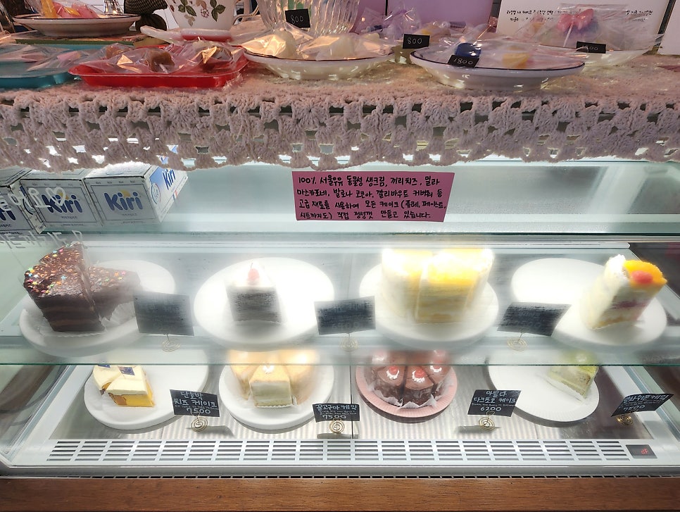 코이지 사진 5